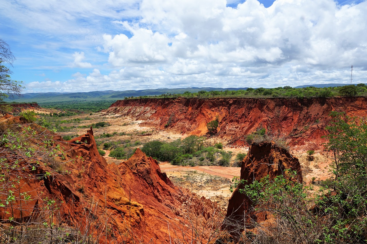 Photo de l'étape Tsingy de Bemaraha