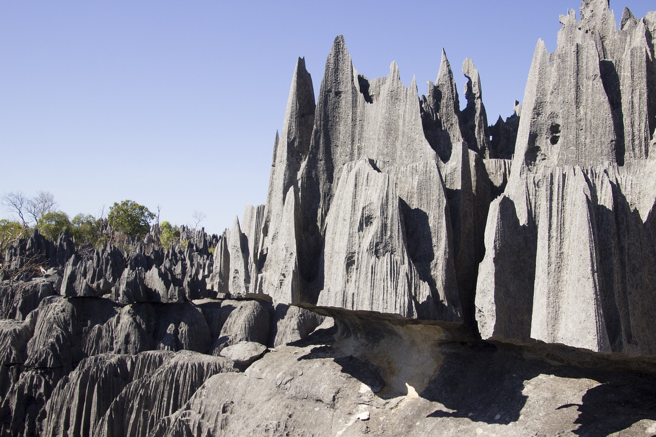 Photo de l'étape Tsingy de Bemaraha