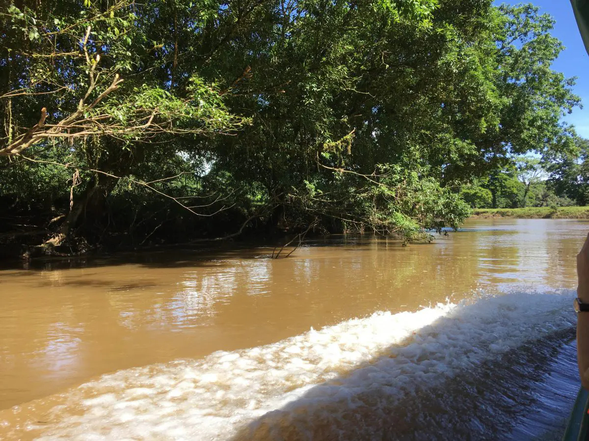 Photo de l'étape Tortuguero