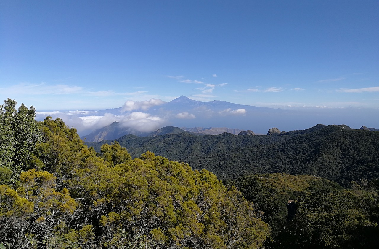 Photo de l'étape Forêt de Garajonay